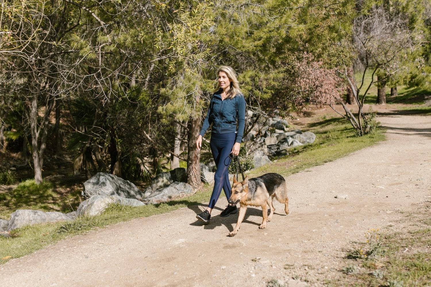 Dog Charities - Our Recommendations For The Best - Pawz