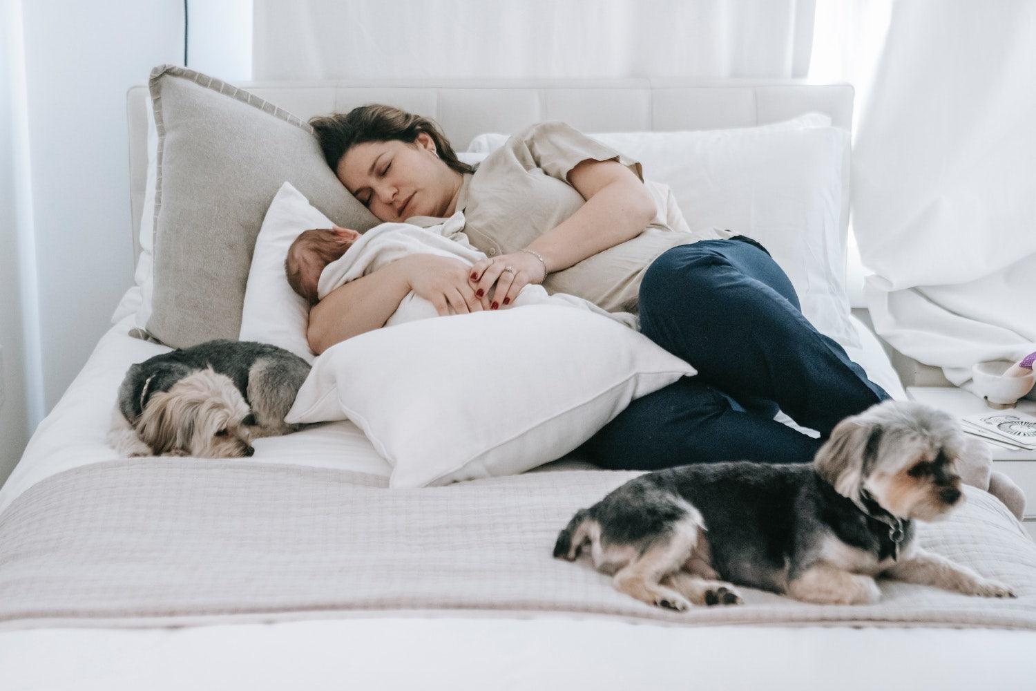 Dogs And Babies - Tips For How To Introduce Baby - Pawz